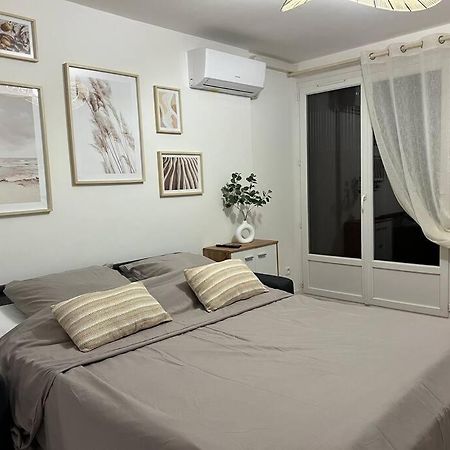 *La Pampa, Studio, Parking, Clim, Hopitaux/Fac* Montpellier Eksteriør billede