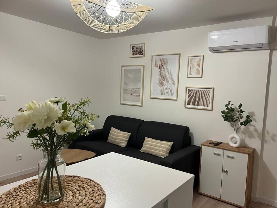 *La Pampa, Studio, Parking, Clim, Hopitaux/Fac* Montpellier Eksteriør billede