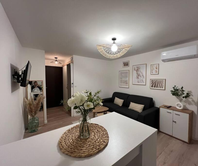*La Pampa, Studio, Parking, Clim, Hopitaux/Fac* Montpellier Eksteriør billede
