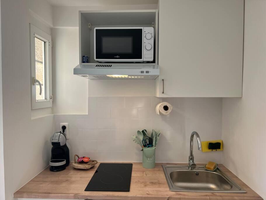 *La Pampa, Studio, Parking, Clim, Hopitaux/Fac* Montpellier Eksteriør billede
